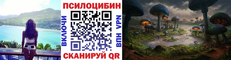 гидра зеркало  Горячий Ключ  Галлюциногенные грибы Cubensis 