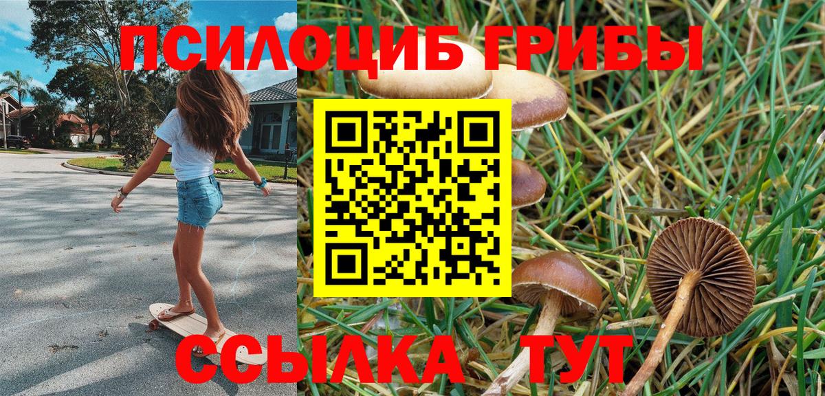Псилоцибиновые грибы прущие грибы Горячий Ключ