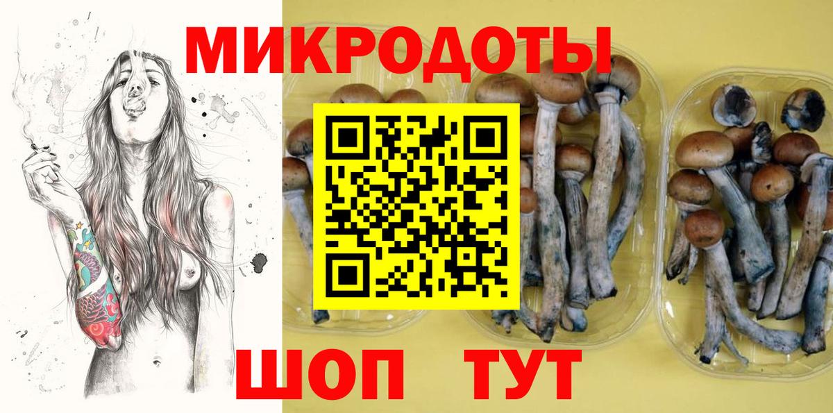 Галлюциногенные грибы Psilocybine cubensis Горячий Ключ