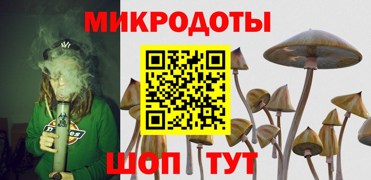 Галлюциногенные грибы прущие грибы  Вход с VPN  Горячий Ключ 