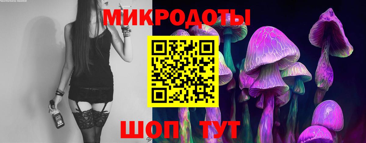 Галлюциногенные грибы прущие грибы  Псилоцибиновые грибы мицелий  хочу   Горячий Ключ 